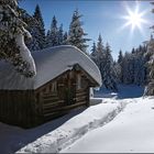 ~ Hütte im Wald II ~