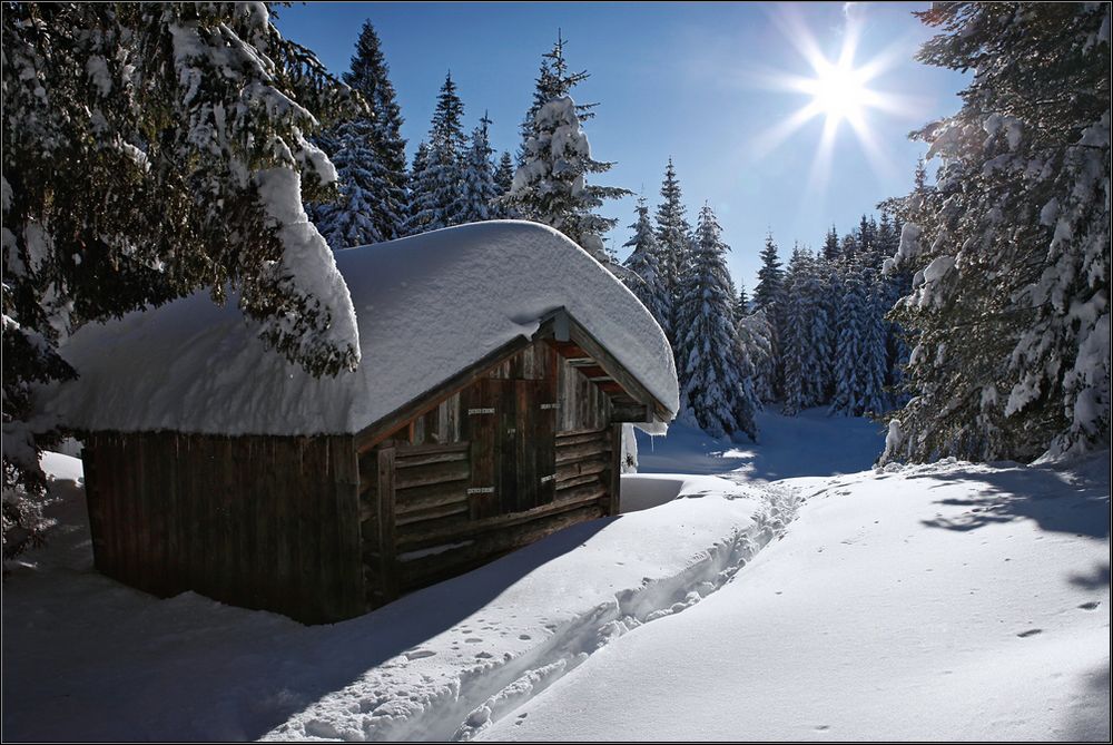 ~ Hütte im Wald II ~ Foto & Bild | deutschland, europe, bayern Bilder