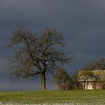 Hütte im Winter