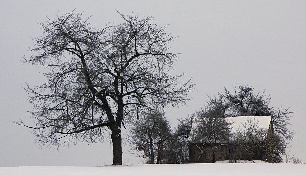 Hütte im Winter