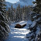 ~ Hütte im Winterwald ~