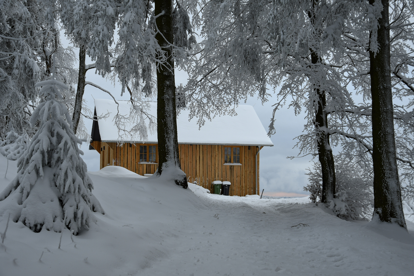 Hütte im Winterwald