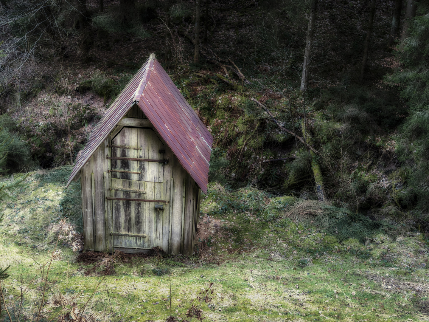 Hütte in Bermersbach