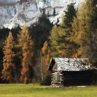 Hütte in der in der herbstlichen Leutasch