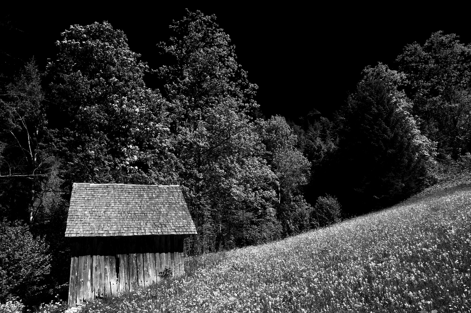 Hütte in der Natur