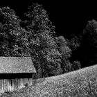 Hütte in der Natur