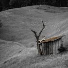 Hütte in der Steiermark