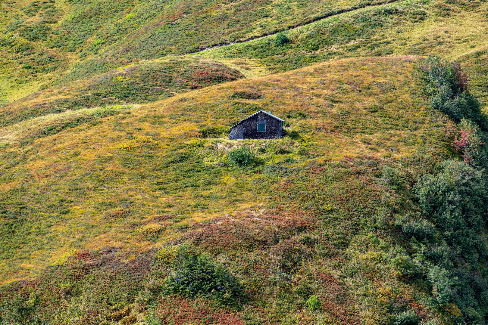 Hütte in Herbstfarben