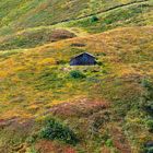 Hütte in Herbstfarben