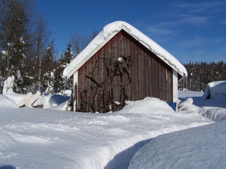 Hütte in Schweden bei Sonnenschein