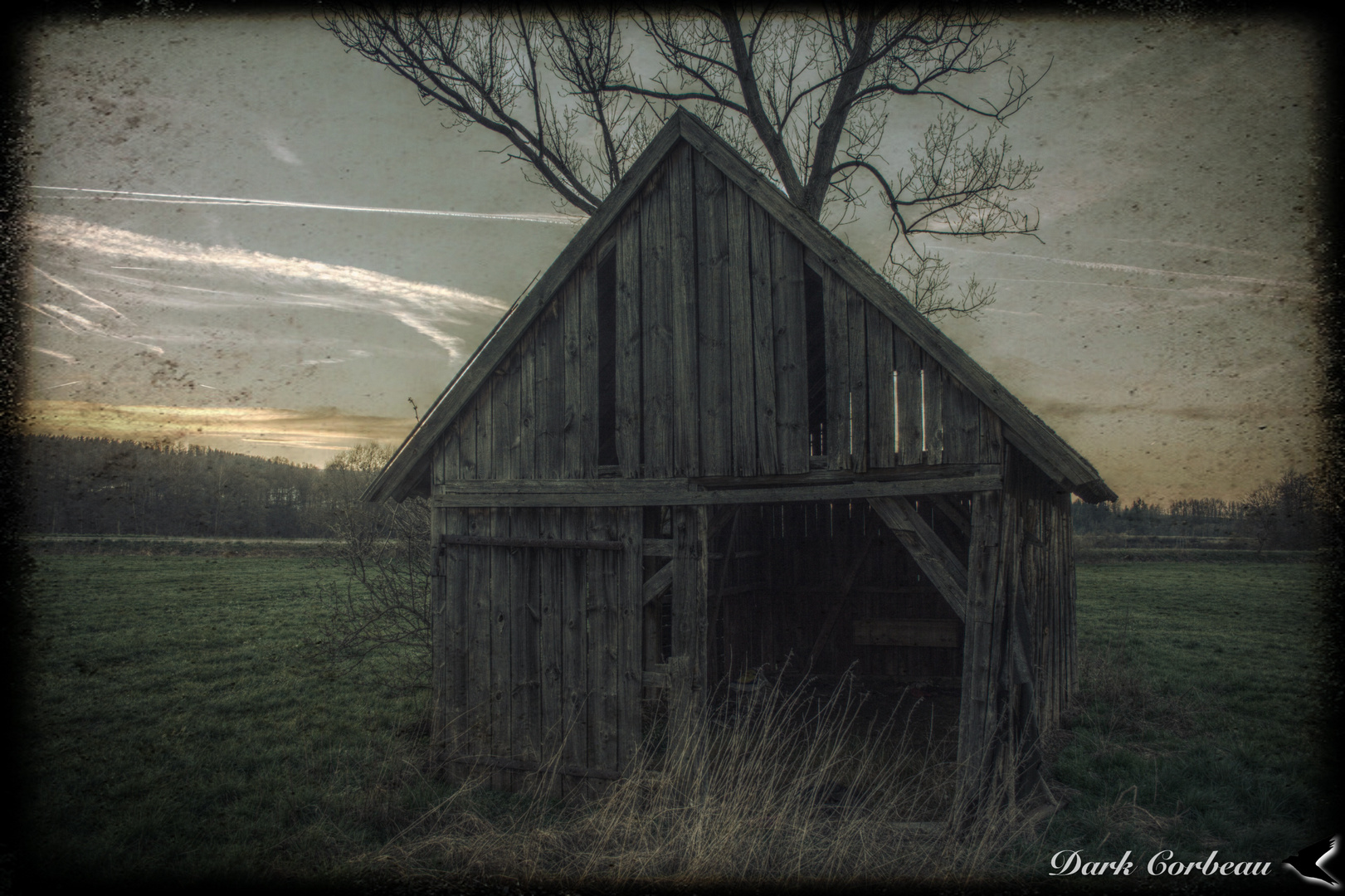 Hütte mit Baum