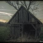 Hütte mit Baum