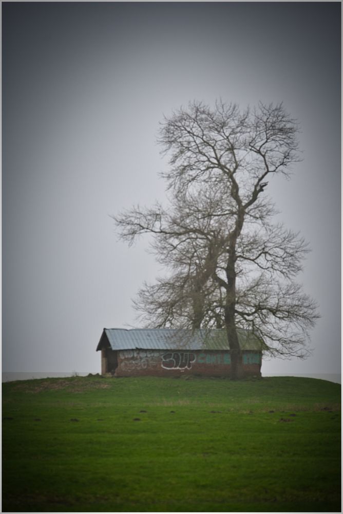 Hütte mit Baum