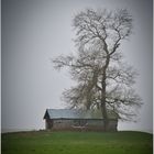 Hütte mit Baum