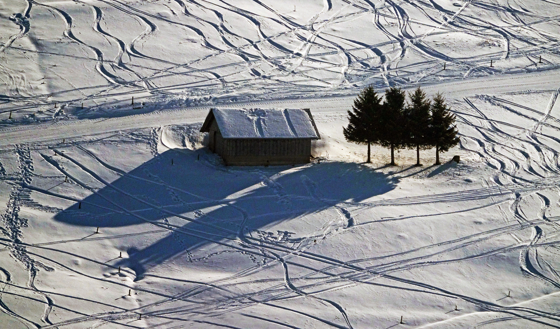 Hütte mit Baumgruppe