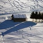 Hütte mit Baumgruppe