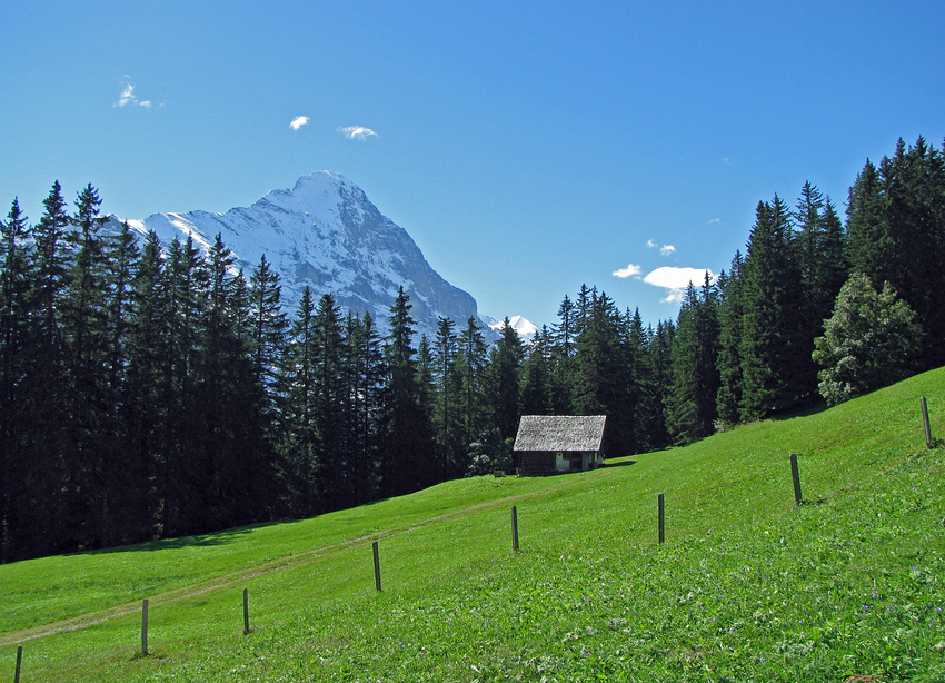 Hütte mit Eiger