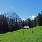 Hütte mit Eiger