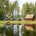 Hütte mit Spiegelung