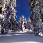 Hütte mit traumhafter Lage am Predigtstuhl / Berchtesgaden