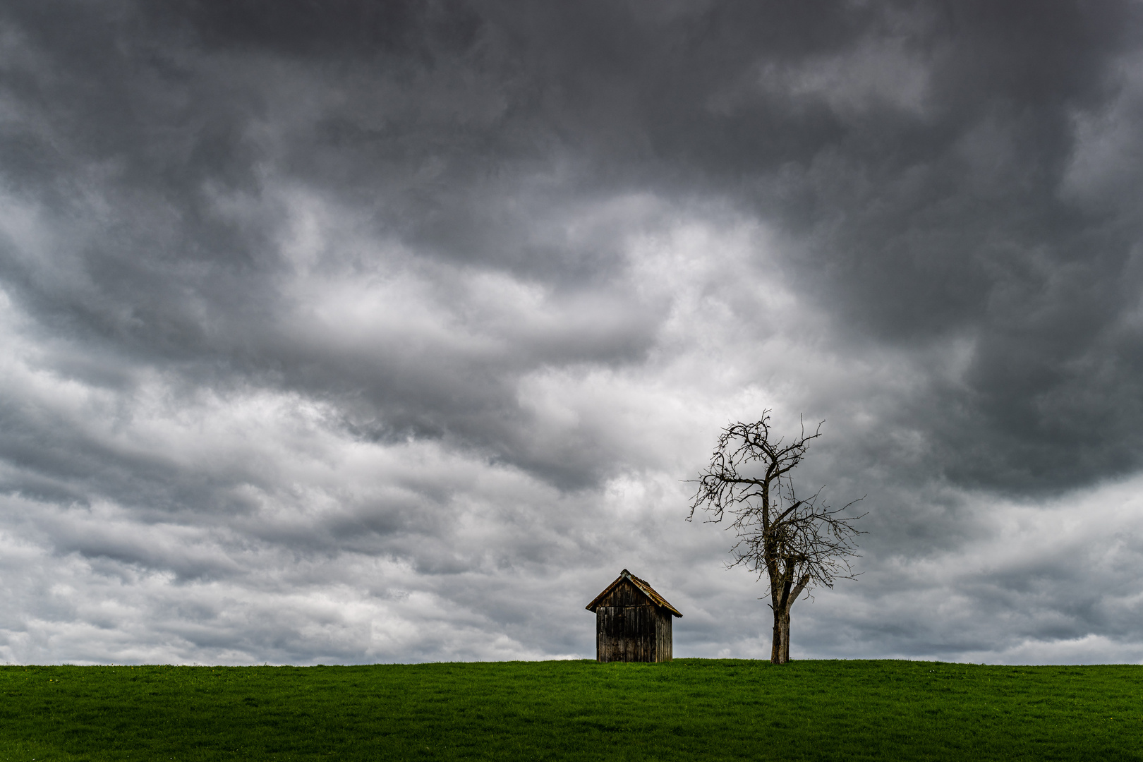 Hütte und Baum