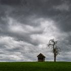 Hütte und Baum