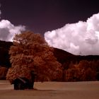 Hütte unterm Baum