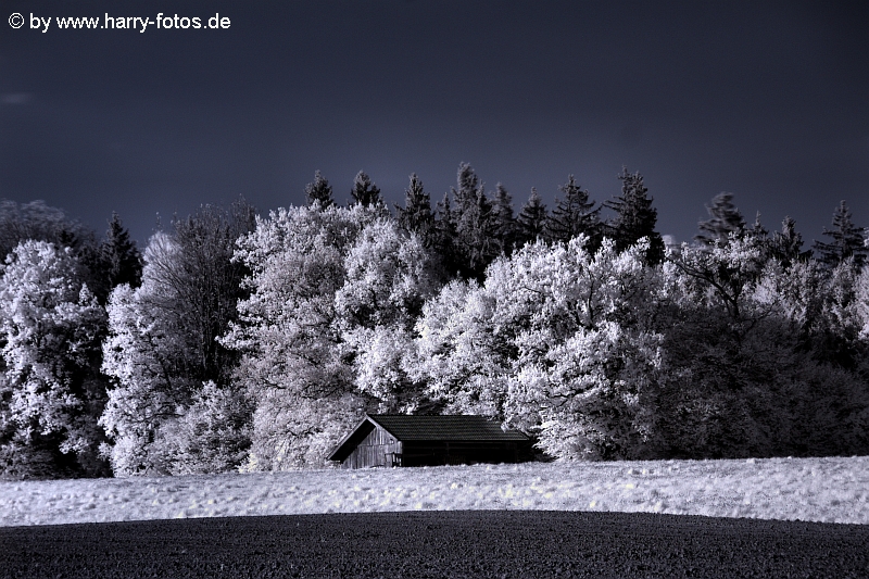 Hütte vor Wald in Infrarot