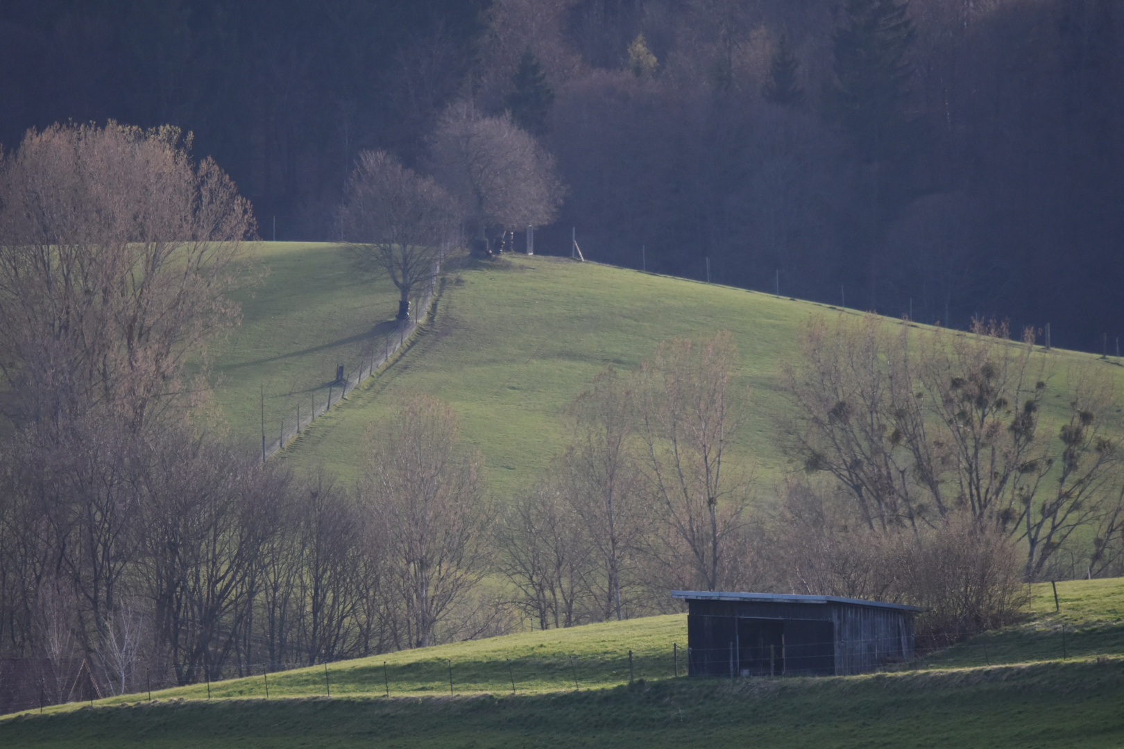 Hütte, Zaun, Wiese