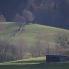 Hütte, Zaun, Wiese