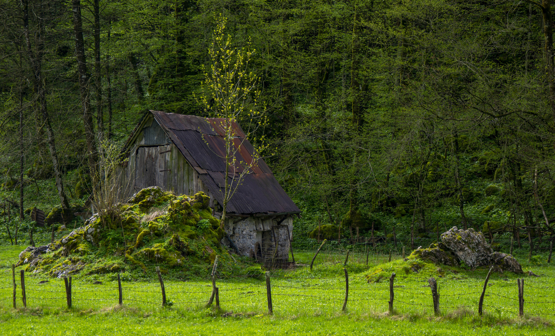 Hütte...irgendwo in Slowenien