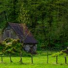 Hütte...irgendwo in Slowenien