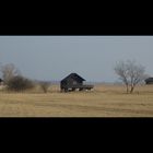 Hütten im Feld