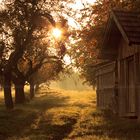 Hütten im Morgennebel bei Dettingen unter Teck