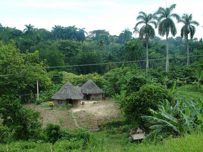 Hütten in der Sierra Maestra