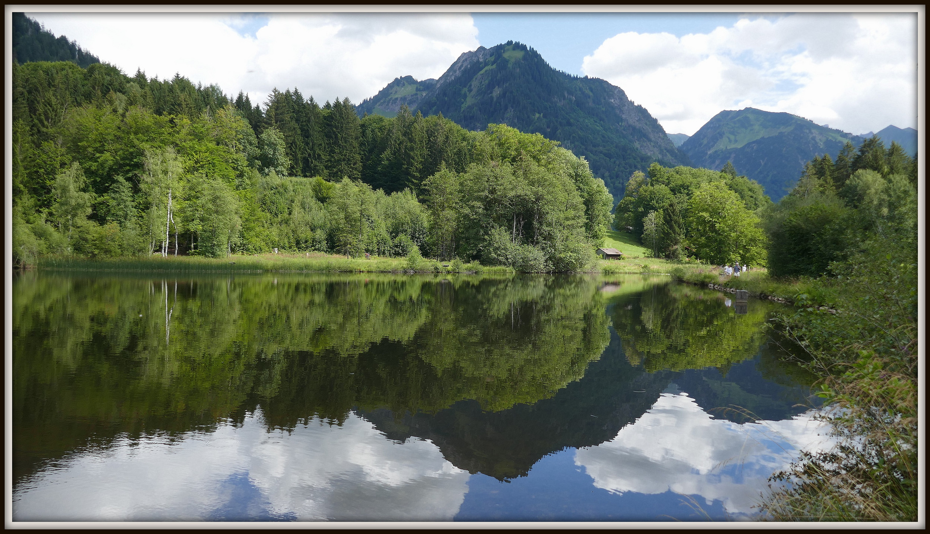 Hüttenkopf im Moorweiher