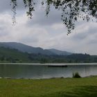 Hüttensee bei Hütten ZH, Schweiz