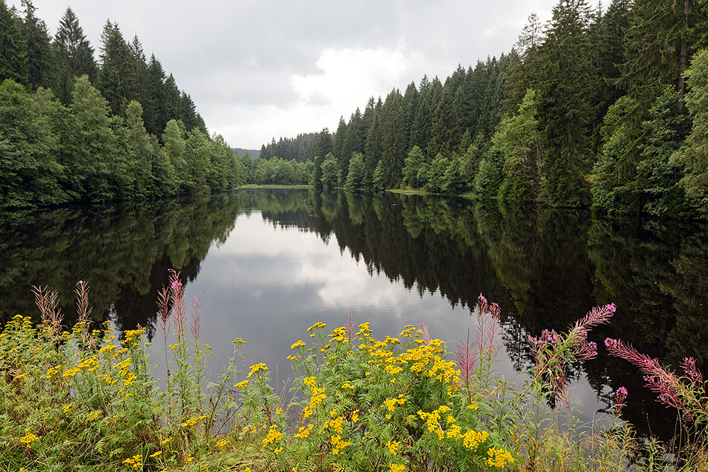 Hüttenteich bei Altenau im Harz