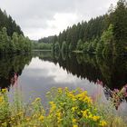 Hüttenteich bei Altenau im Harz