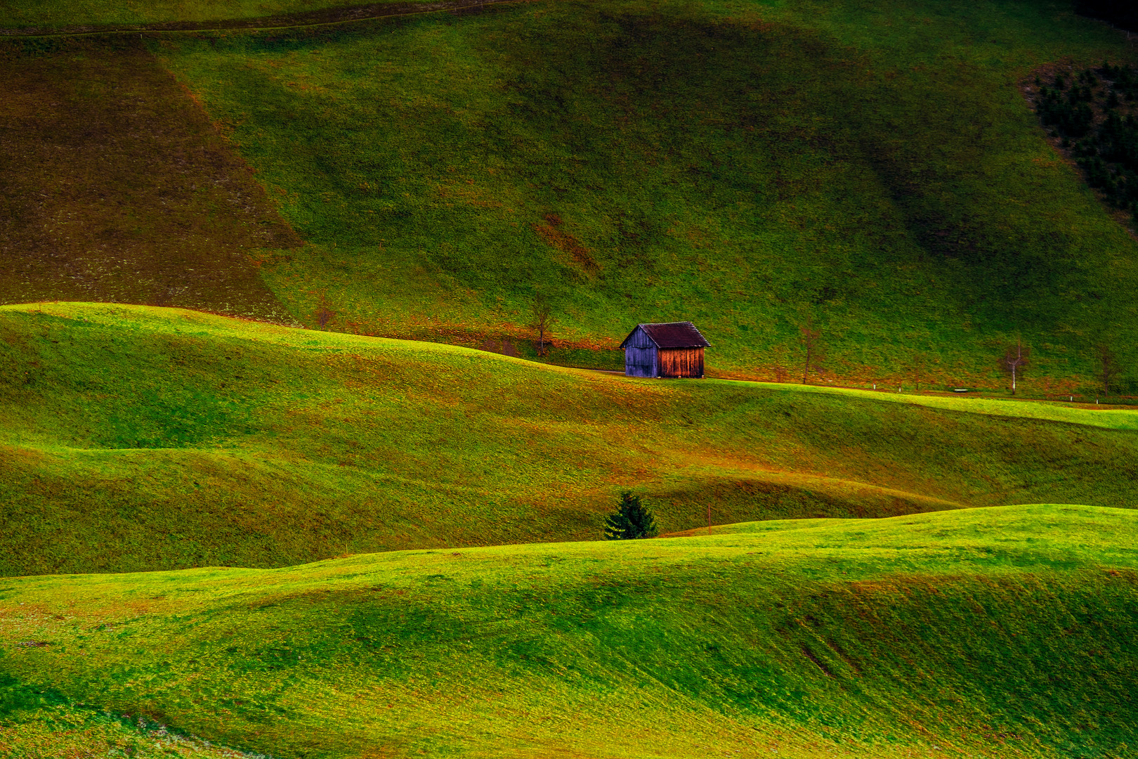 Hüttn' in der Wiesenlandschaft