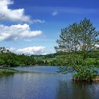 Hüttwielersee