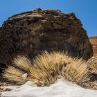 "Huevos del Teide"