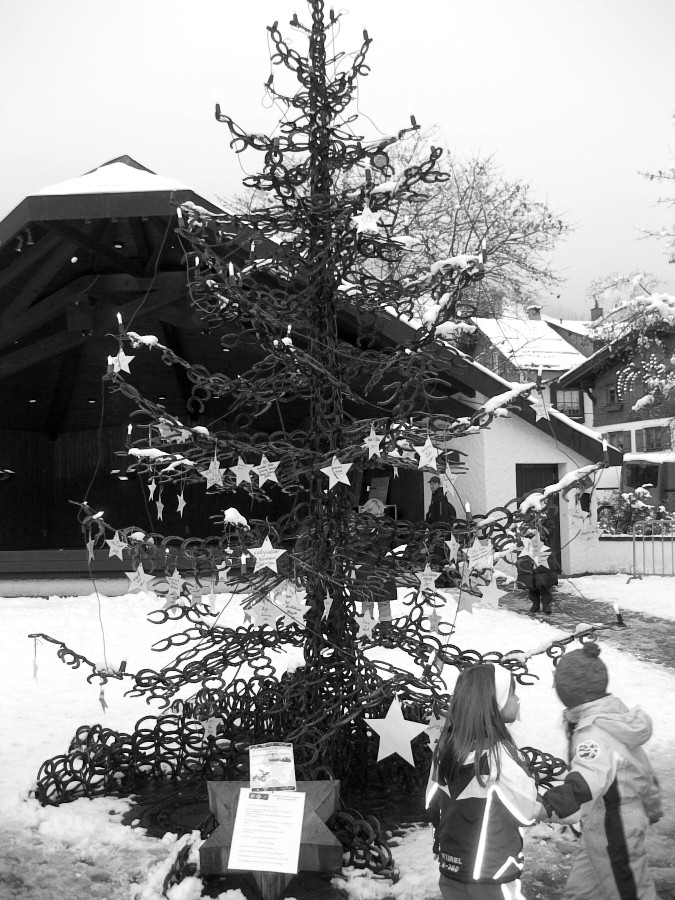 Hufeisenbaum