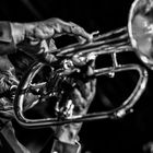 Hugh Masekela