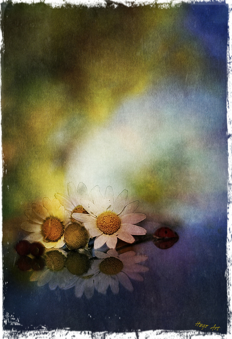 Hugo Art Photography. Les fleurs. Free and Happy,because I create.-.