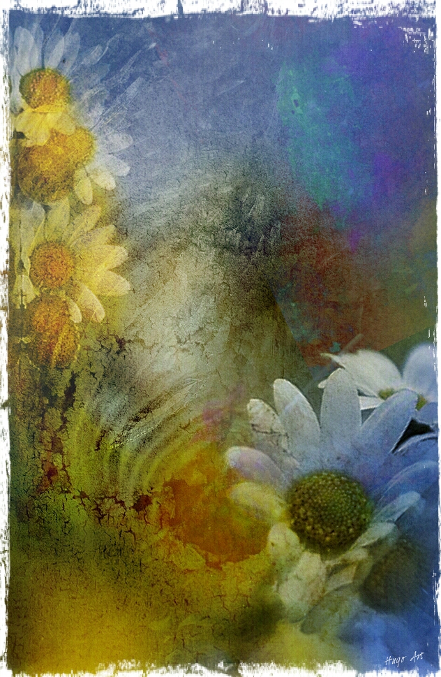 Hugo Art Photography. Les fleurs. Free and Happy,because I create..,