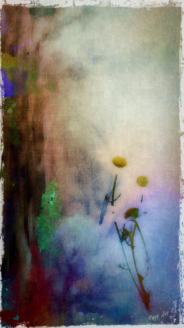 Hugo Art Photography. Les fleurs. Free and Happy,because I create.--