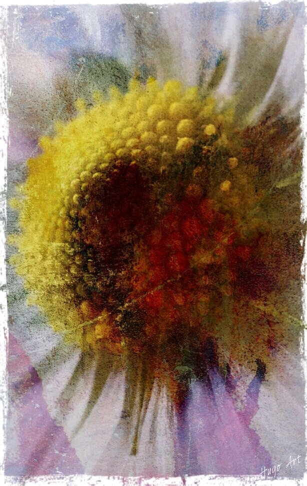 Hugo Art Photography. Les fleurs. Free and Happy,because I create.....