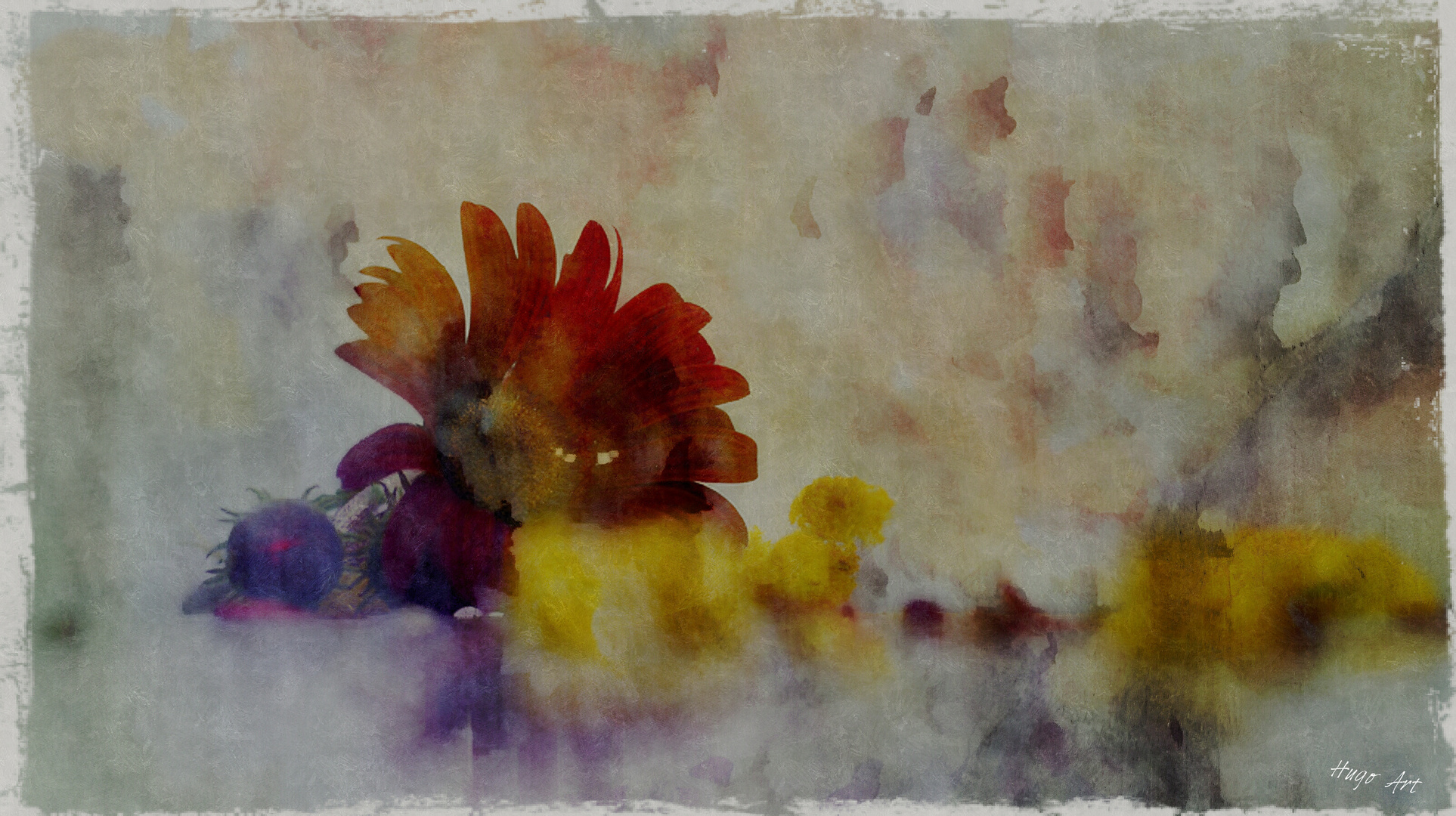 Hugo Art Photography. Les fleurs. Free and Happy,because I create..-,