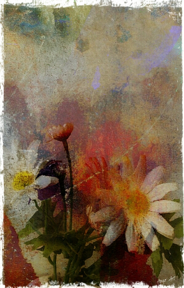 Hugo Art Photography. Les fleurs. Free and Happy,because I create.-.